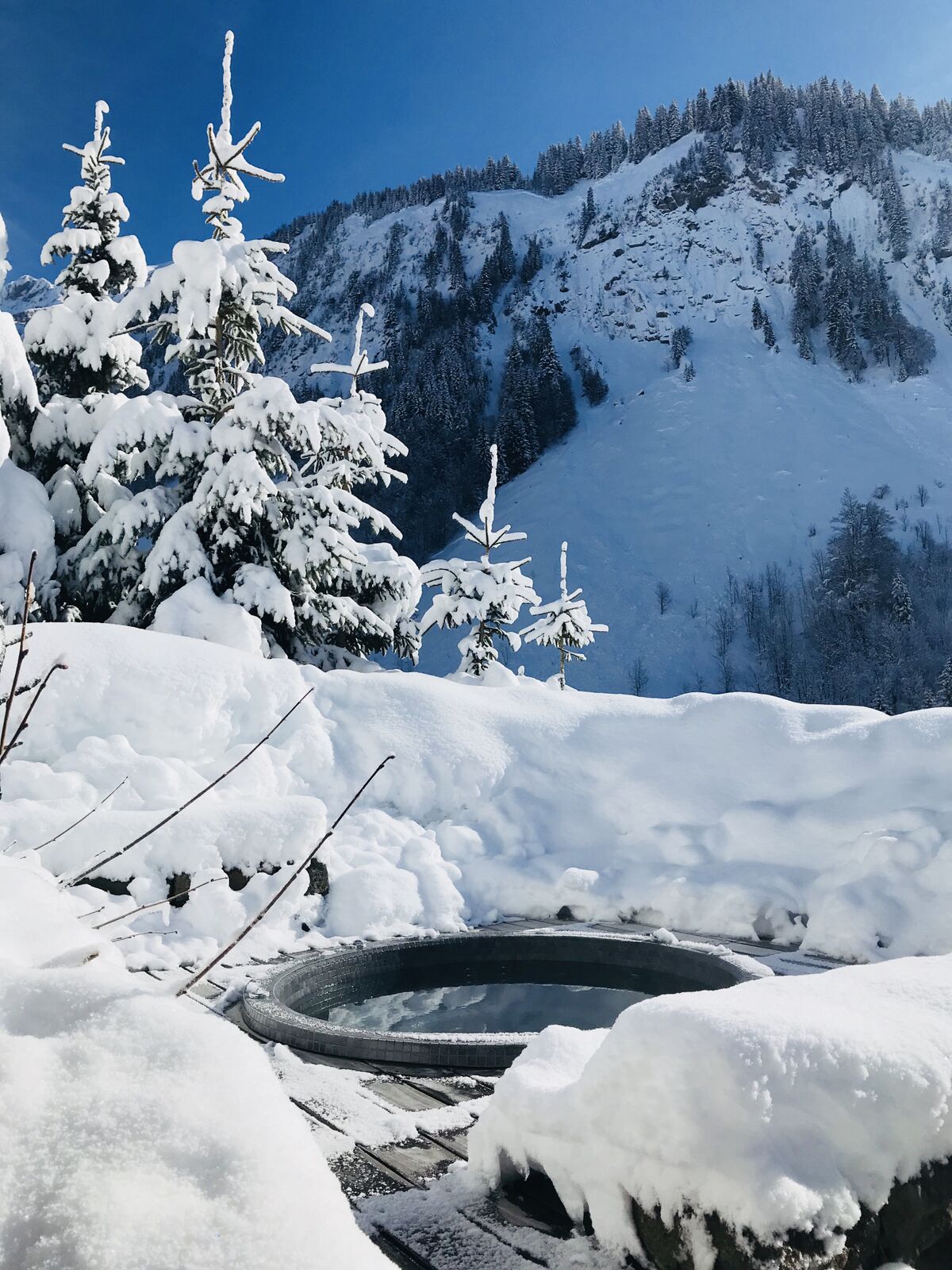 Chalet1864-jacuzzi-neige